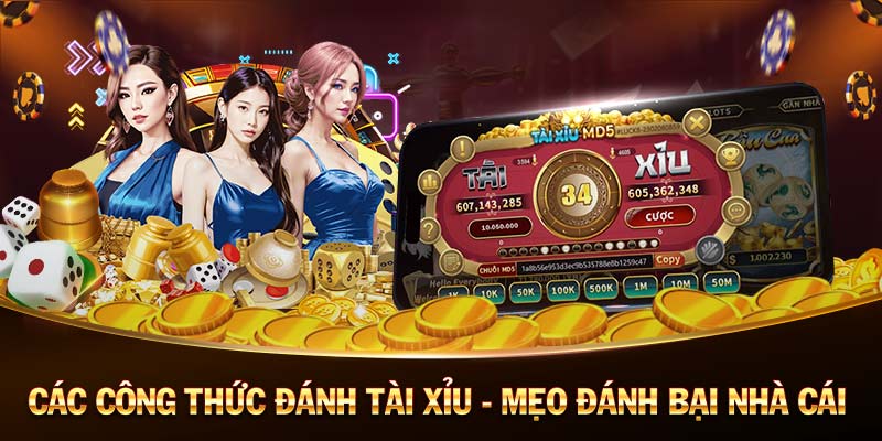 aw8-Dẫn đầu trong trải nghiệm casino trực tuyến! aw8-Dẫn đầu trong trải nghiệm casino trực tuyến!
